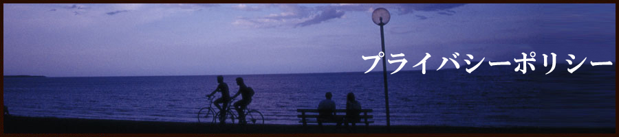 �p�[�e�B�̗���